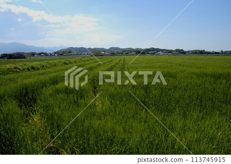 麥田與天空:糸島的鄉村景觀 麥田與天空:糸島的鄉村景觀 113745915