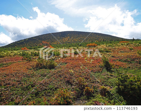 在福島縣,須賀平和東東山的紅草和紅葉在藍天的襯托下顯得格外美麗。 在福島縣,須賀平和東東山的紅草和紅葉在藍天的襯托下顯得格外美麗。 113746193