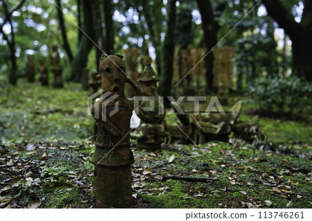 Hanyowa花園 113746261