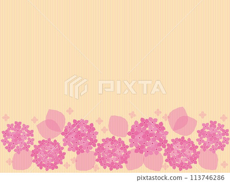 Hydrangea frame striped pink 113746286