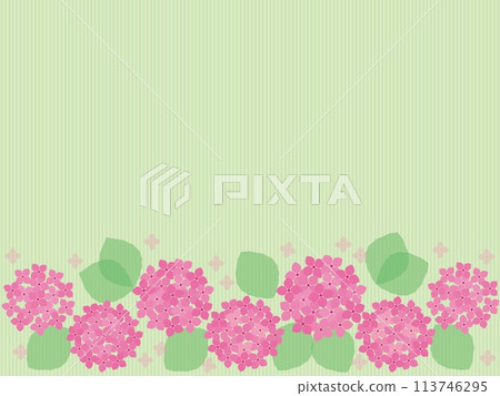 繡球花框條紋粉紅色 113746295