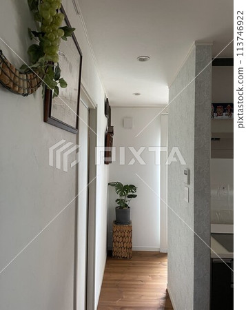 Living room corner 2 decorated with miscellaneous items 113746922