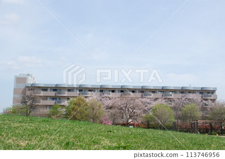 溫暖的公園 溫暖的公園 113746956