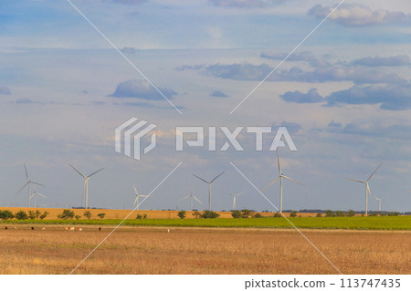Wind turbines in a field. Renewable energy Wind turbines in a field. Renewable energy 113747435