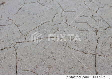Natural salt crystal texture, macro, close-up. Salty lake background 113747453