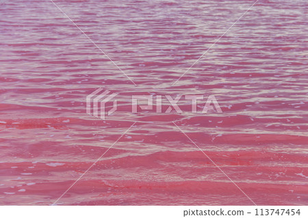 Surface of the pink salty Syvash lake in Kherson region, Ukraine. Natural background, texture Surface of the pink salty Syvash lake in Kherson region, Ukraine. Natural background, texture 113747454