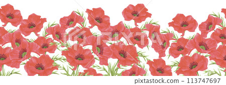 Hand drawn watercolor red poppy flowers seamless frame border isolated on white background. Can be used for banner, textile and other printed products. 113747697