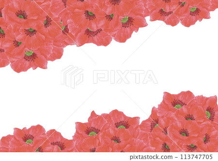 Hand drawn watercolor red poppy flowers frame border isolated on white background. Can be used for post card, business card and other printed products. 113747705