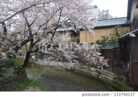 Gion Shirakawa Gion Shirakawa 113748117