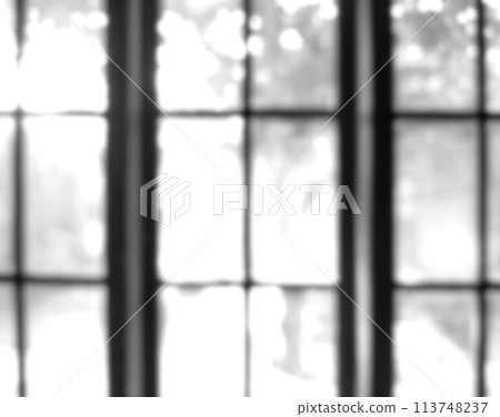 Black and white photo of blurry window glass frame out of focus, out of focus on photo inside the house 113748237