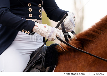 Equestrian in formal attire riding a chestnut horse. 113748267