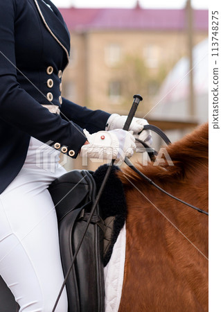 Equestrian in formal attire riding a chestnut horse. 113748275