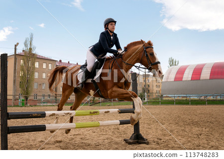 Rider jumping horse over obstacle, equestrian sport. 113748283