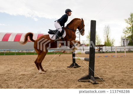 Equestrian and horse mid-jump, show jumping action. Equestrian and horse mid-jump, show jumping action. 113748286