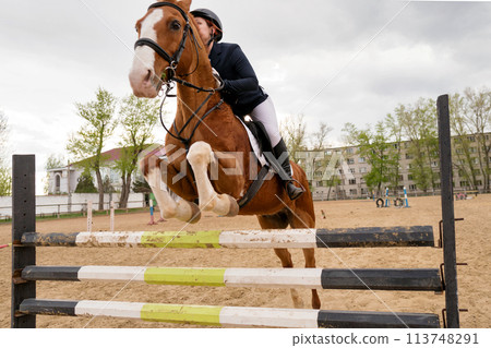 Equestrian event, rider and horse mid-obstacle course. 113748291