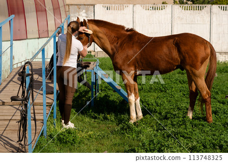 Woman brushing horse at barn entrance Woman brushing horse at barn entrance 113748325