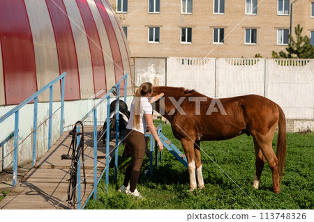 Woman brushing horse at barn entrance Woman brushing horse at barn entrance 113748326