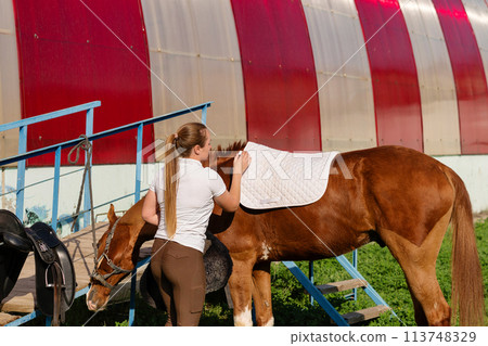 Woman saddling up chestnut horse Woman saddling up chestnut horse 113748329