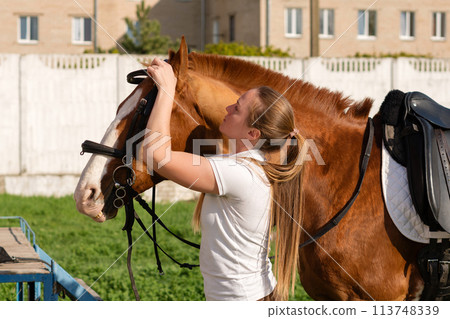 Equestrian adjusting bridle on horse Equestrian adjusting bridle on horse 113748339