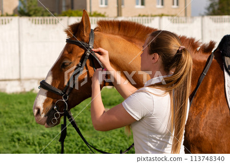 Woman attaching bridle to horse Woman attaching bridle to horse 113748340
