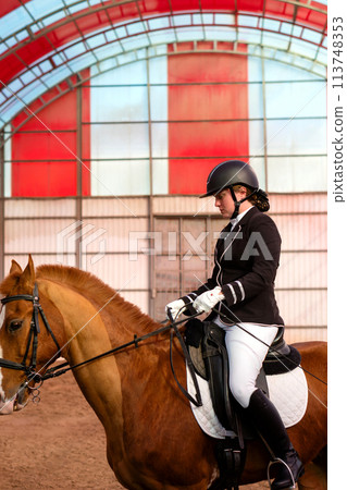 Equestrian riding chestnut horse indoors 113748353