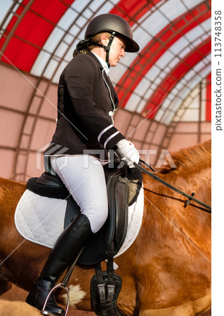 Focused rider in dressage training 113748358