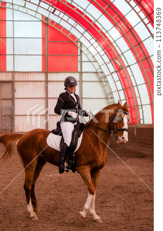 Focused dressage rider in a striking red-arched arena Focused dressage rider in a striking red-arched arena 113748369