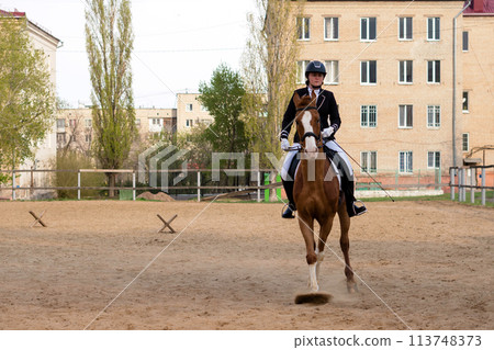 Equestrian rider and horse in action in city arena Equestrian rider and horse in action in city arena 113748373