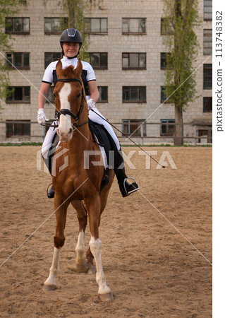 Frontal view of dressage rider on chestnut horse in city arena Frontal view of dressage rider on chestnut horse in city arena 113748382