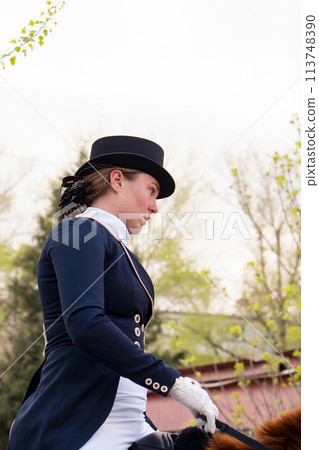 Close-up of dressage rider in traditional attire Close-up of dressage rider in traditional attire 113748390