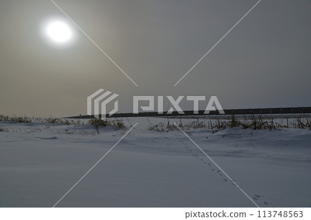 浦幌町雪原的景色，朦朧的陽光照耀著一排腳印 113748563