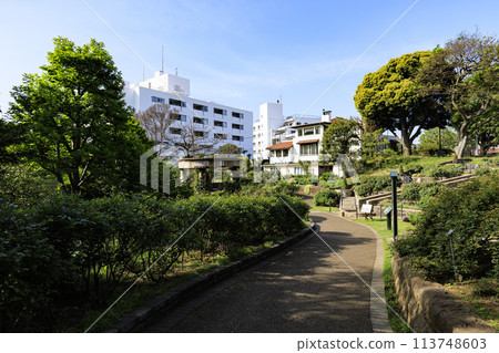 Fresh greenery in the Italian mountain garden Fresh greenery in the Italian mountain garden 113748603