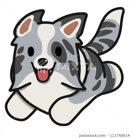 Running Border Collie (Blue Merle) Running Border Collie (Blue Merle) 113748614
