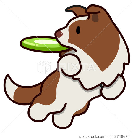 Disc dog Border Collie (Red and White) Disc dog Border Collie (Red and White) 113748621