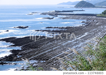 宮崎縣_日南海岸_鬼之洗衣板 113748803