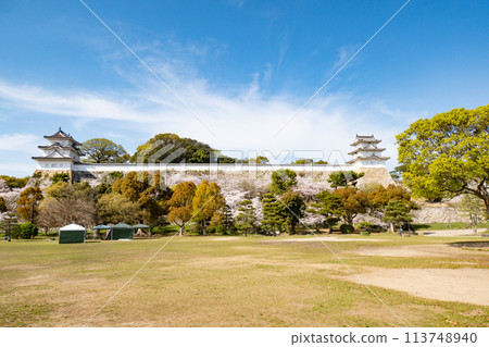 Akashi Castle, Akashi City, Hyogo Prefecture, where the cherry blossoms are in full bloom Akashi Castle, Akashi City, Hyogo Prefecture, where the cherry blossoms are in full bloom 113748940