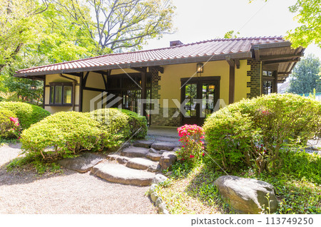 Spring evening incense 113749250