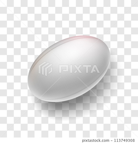 Realistic rugby ball with shadow 113749308