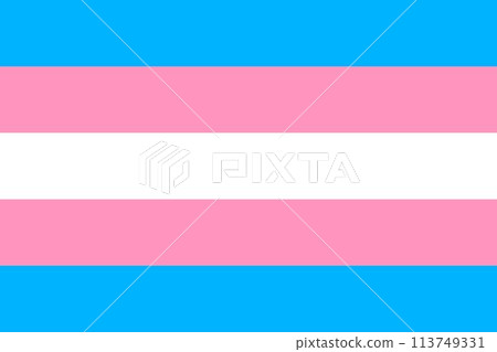 Transgender symbol movement lgbt, flat icon Transgender symbol movement lgbt, flat icon 113749331