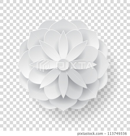 Paper volume flower transparent background 113749336
