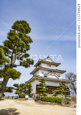 Marugame Castle (Kagawa Prefecture) Marugame Castle (Kagawa Prefecture) 113749629