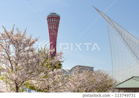 神戶美利堅公園的港口塔和櫻桃和海洋博物館 113749731