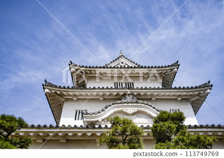 Marugame Castle (Kagawa Prefecture) 113749769