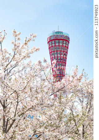 Kobe Meriken Park Port Tower and Sakura 113749923