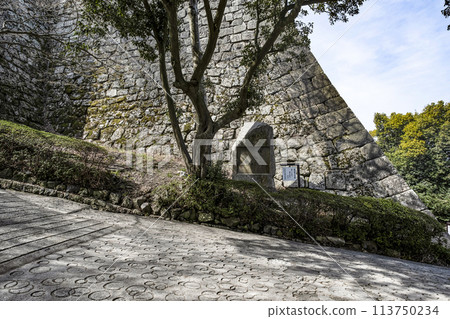 Marugame Castle (Kagawa Prefecture) Sannomaru North Stone Wall and Takahama Kyoshi's Haiku Monument Marugame Castle (Kagawa Prefecture) Sannomaru North Stone Wall and Takahama Kyoshi's Haiku Monument 113750234