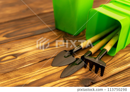 collection of miniature gardening tools, shovels, rakes and pots for seedlings collection of miniature gardening tools, shovels, rakes and pots for seedlings 113750298