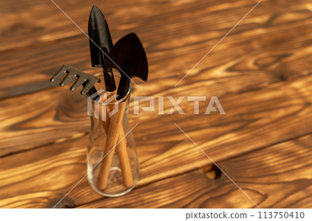 A collection of miniature gardening tools, including shovels and rakes 113750410