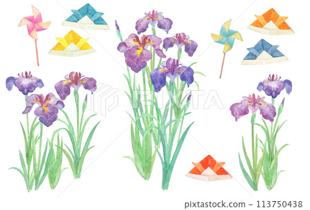 Children's Day and iris illustration drawn with watercolors Children's Day and iris illustration drawn with watercolors 113750438