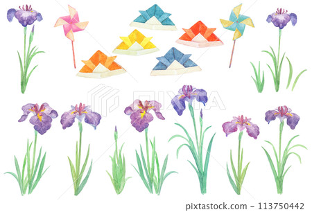 兒童節和水彩畫鳶尾花的插圖 113750442