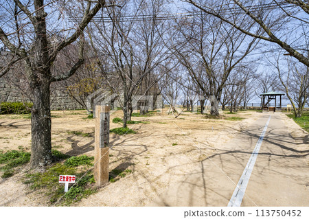 Marugame Castle (Kagawa Prefecture) Ninomaru ruins Marugame Castle (Kagawa Prefecture) Ninomaru ruins 113750452